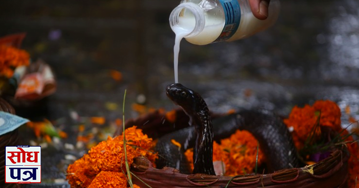 Nag Panchami being observed with huge fanfare